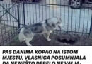 PAS DANIMA KOPAO NA ISTOM MJESTU, VLASNICA POSUMNJALA DA NE NEŠTO DEBELO NE VALJA: Kada je vidjela o čemu se radi, sledila se