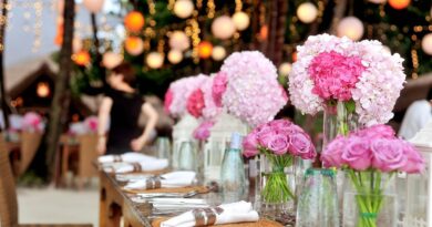 Melina Džinović ponovo u centru pažnje: Vjeridba u Monaku otkriva novu životnu stranicu